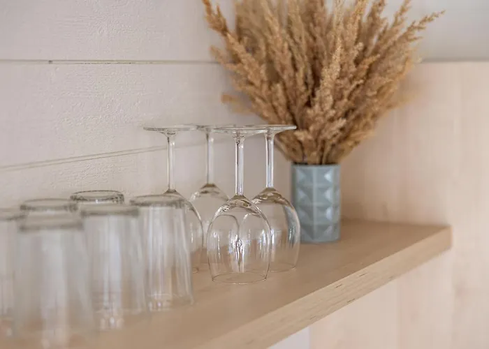 6_banga פלאנגה